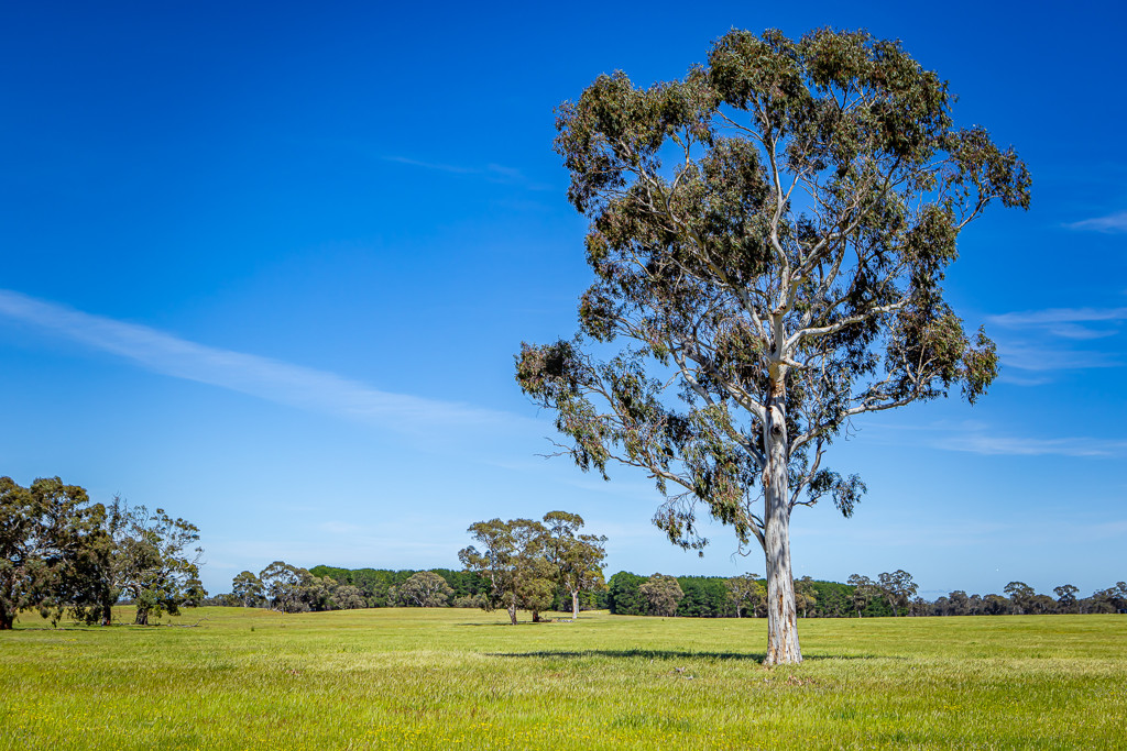 520 Walkington Hills Road, Bangham SA 5268