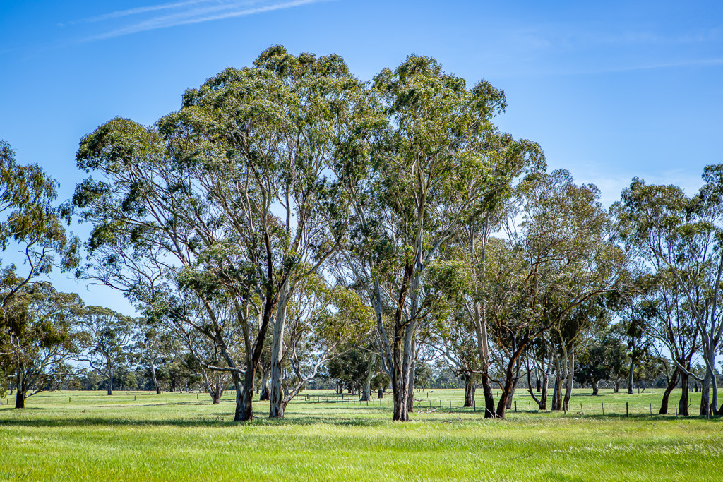 520 Walkington Hills Road, Bangham SA 5268