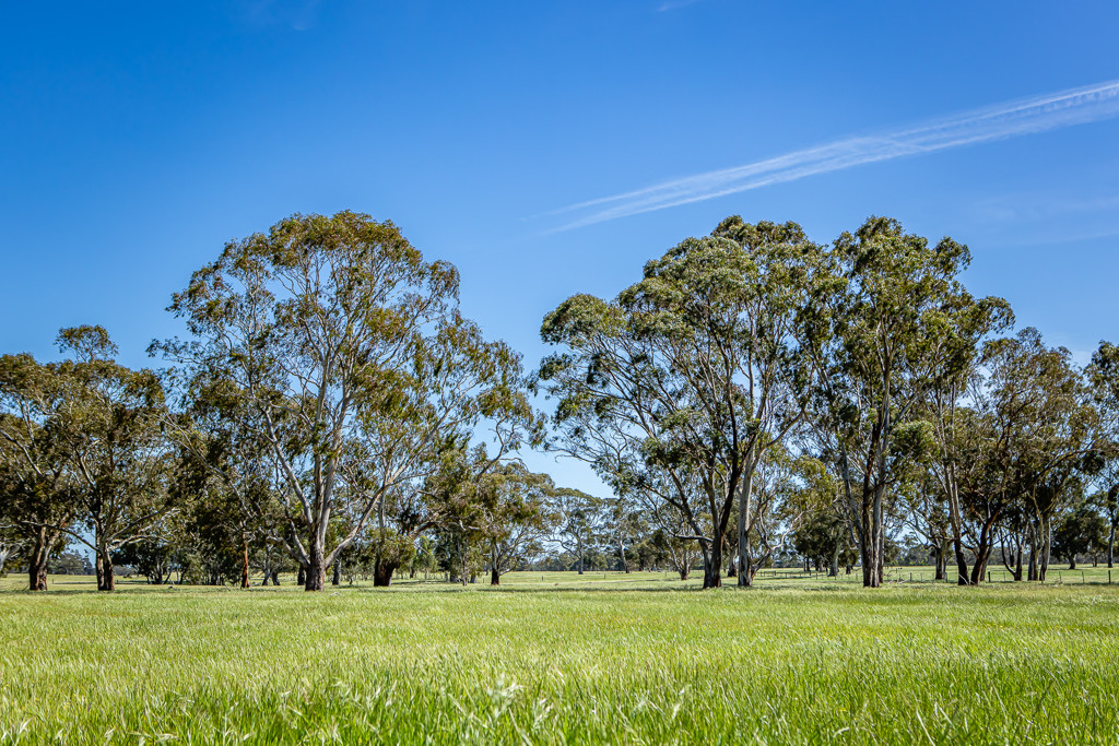 520 Walkington Hills Road, Bangham SA 5268