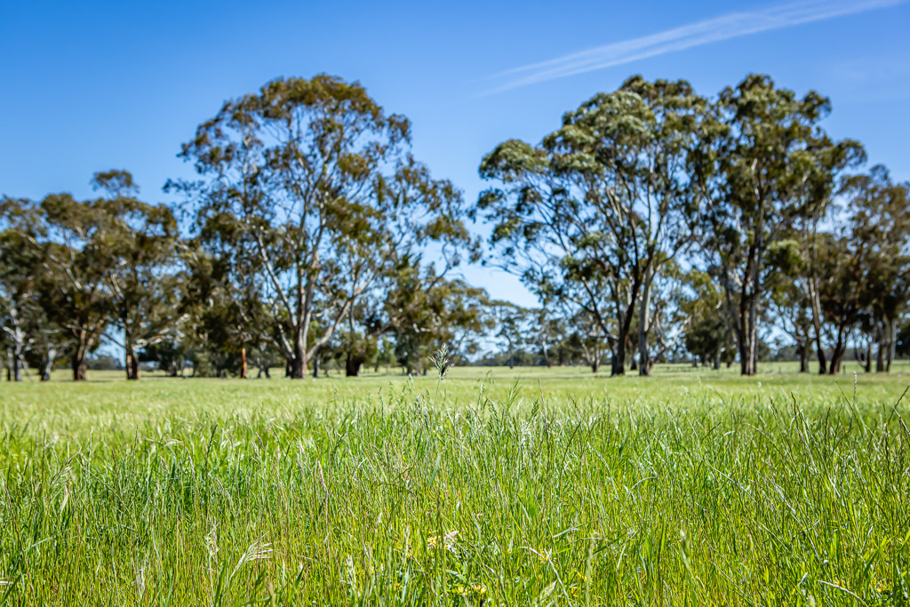 520 Walkington Hills Road, Bangham SA 5268