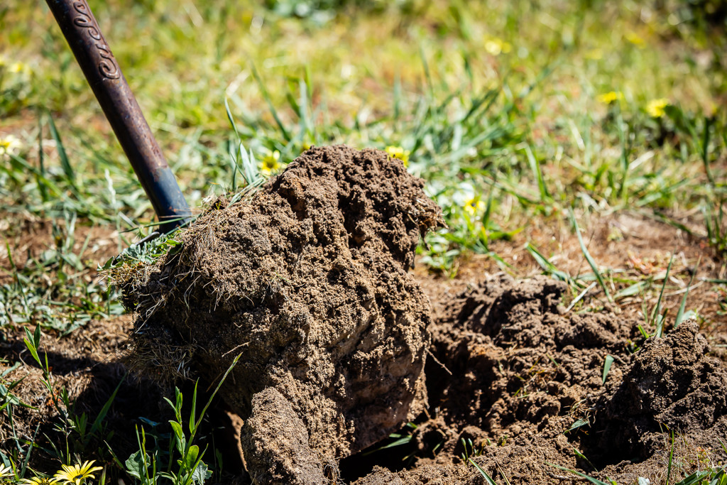 520 Walkington Hills Road, Bangham SA 5268