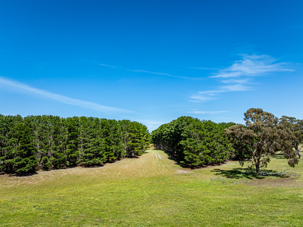 520 Walkington Hills Road, Bangham SA 5268