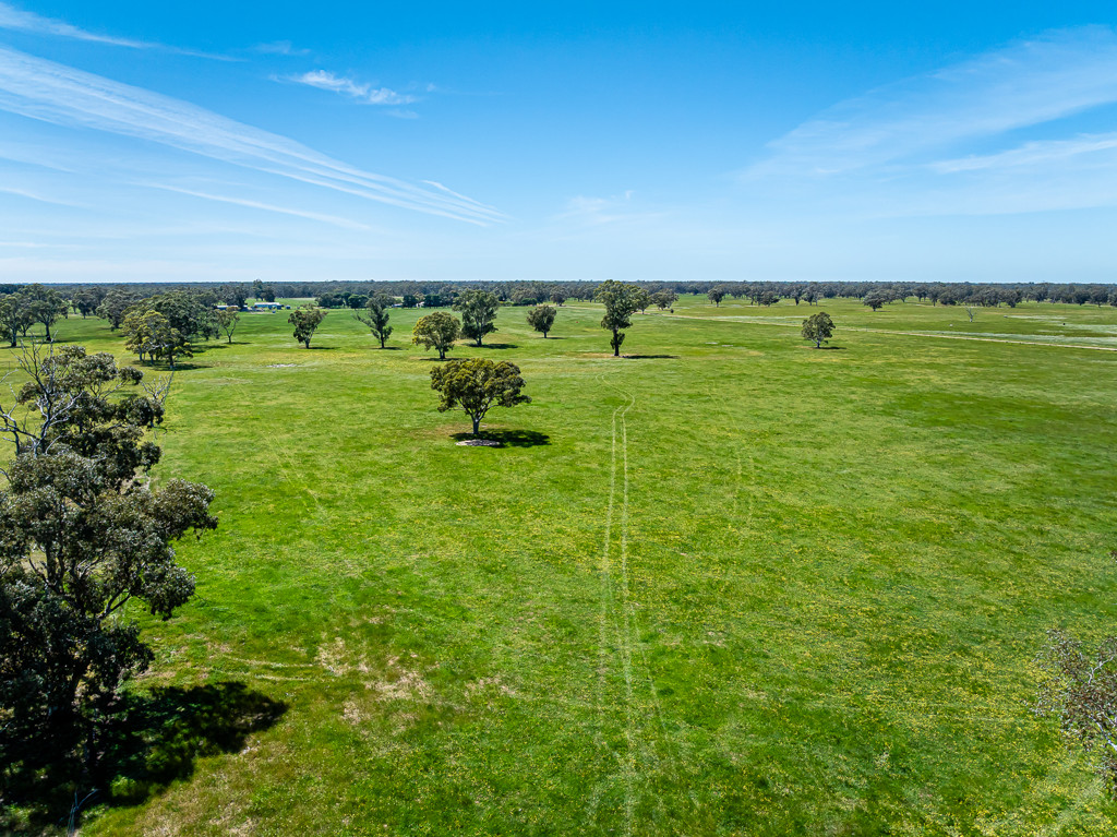 520 Walkington Hills Road, Bangham SA 5268