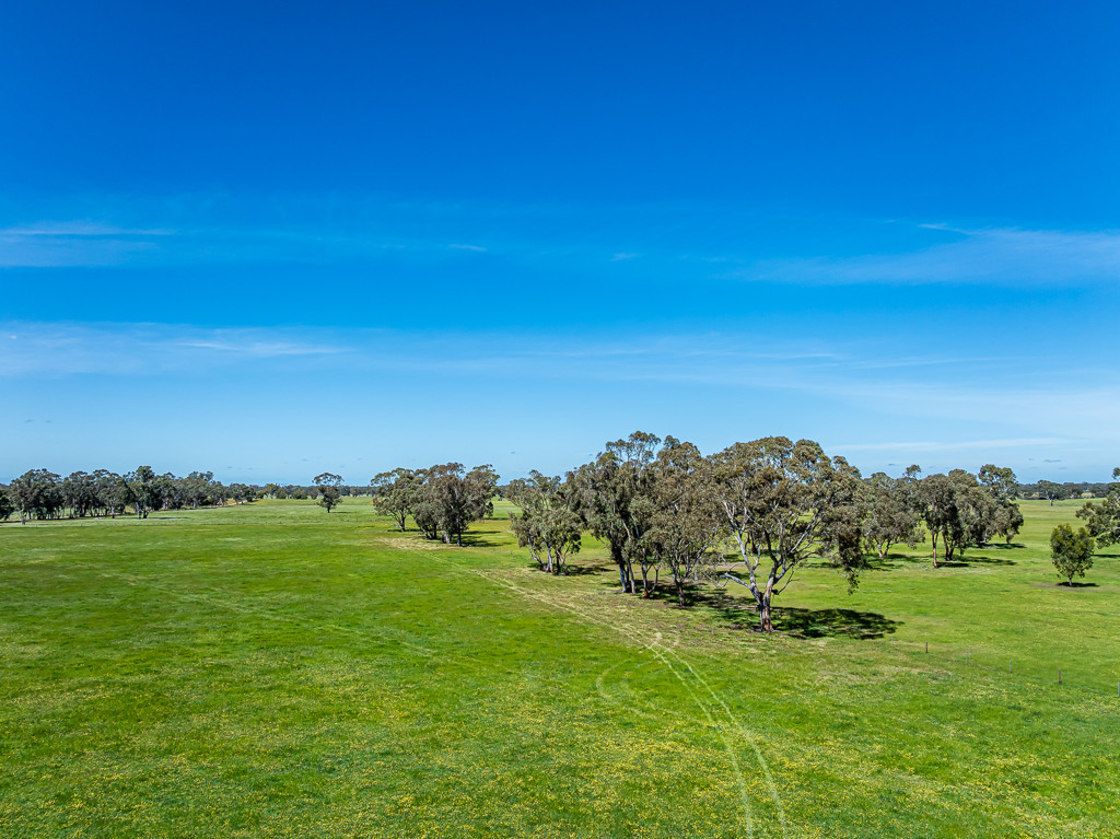 520 Walkington Hills Road, Bangham SA 5268