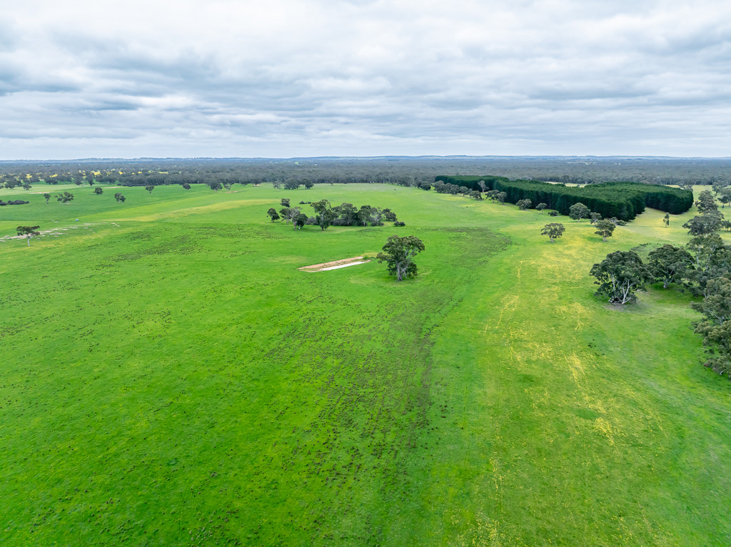 520 Walkington Hills Road, Bangham SA 5268