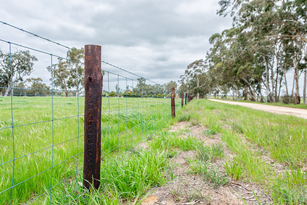 520 Walkington Hills Road, Bangham SA 5268