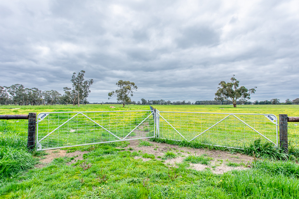 520 Walkington Hills Road, Bangham SA 5268