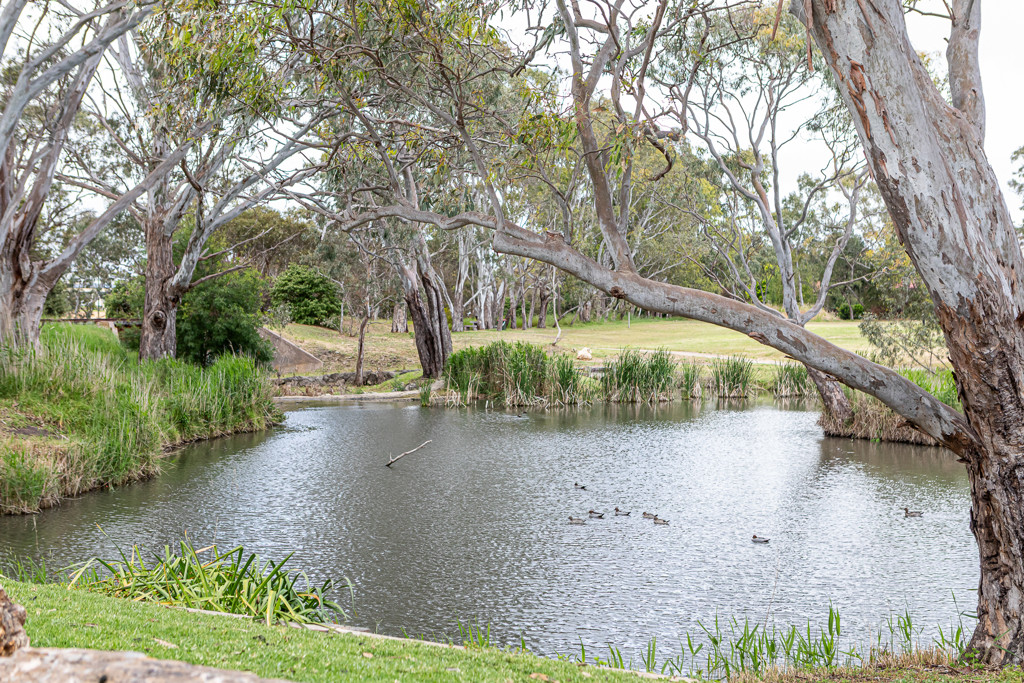 18-19 Parkside Court, Naracoorte SA 5271