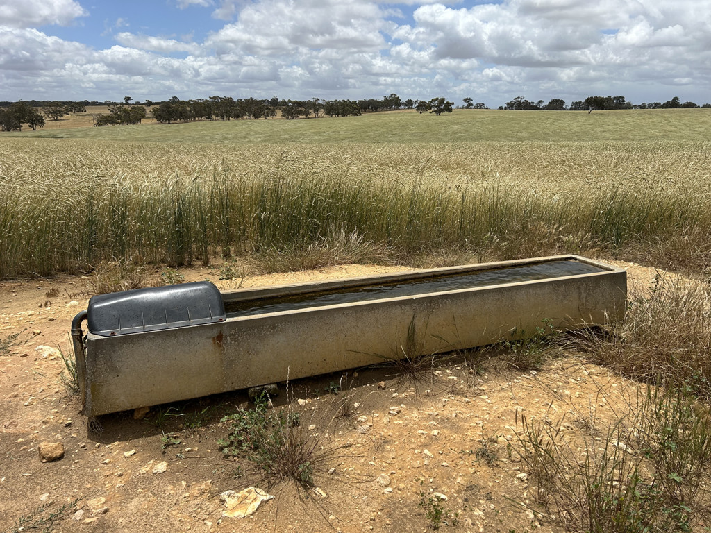 Lot 189 and 323 Roy Lawries Road, Lochaber SA 5271