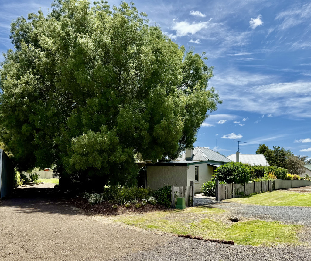 1 Riddoch, Penola SA 5277