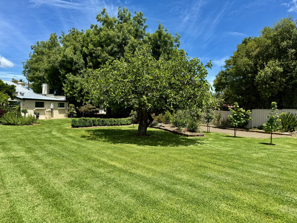 1 Riddoch, Penola SA 5277