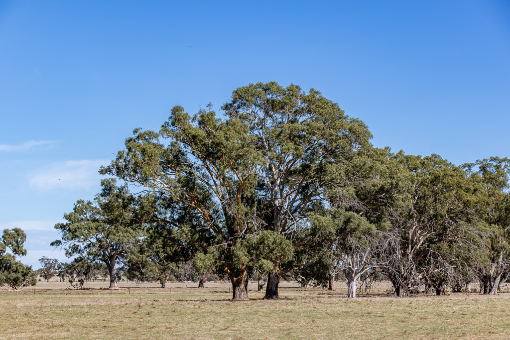 576 Lochaber North Road, Lochaber SA 5271