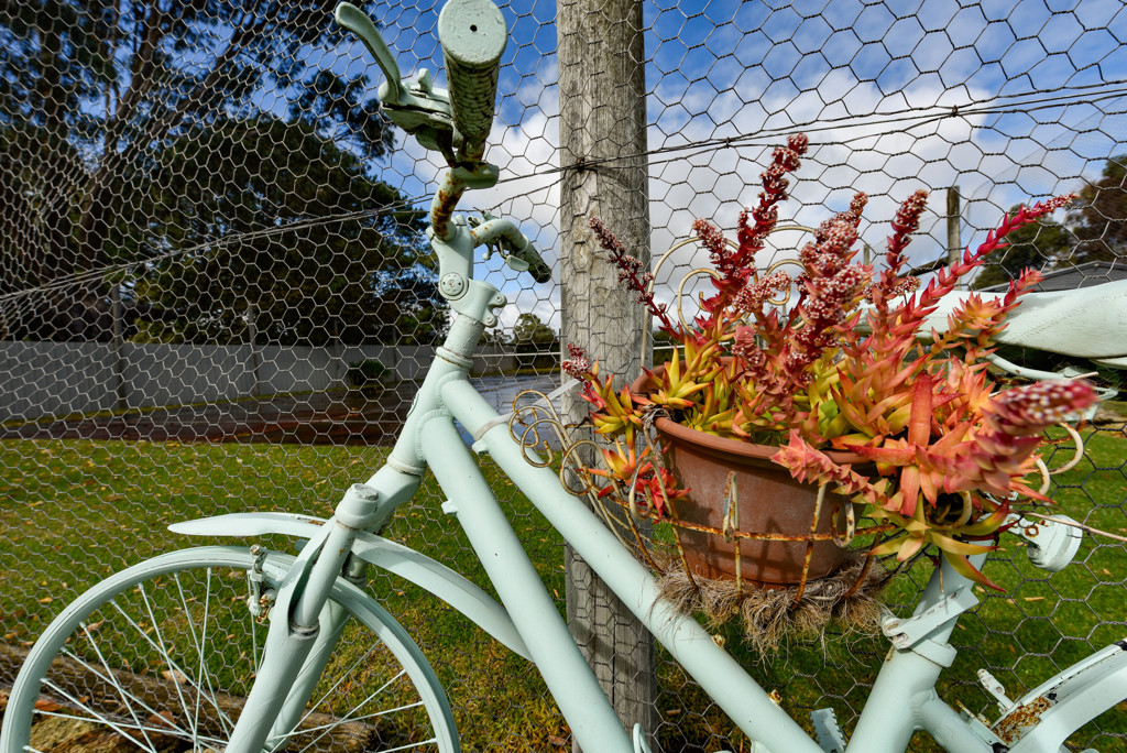 8 Julian Street West, Penola SA 5277