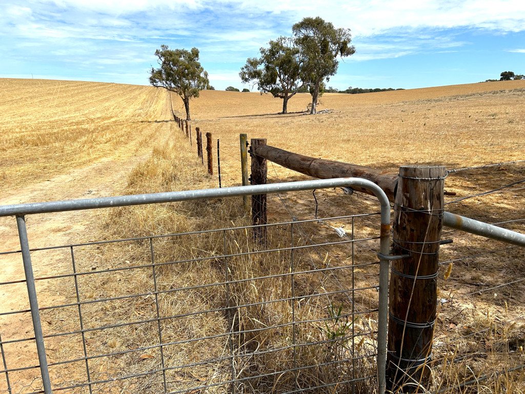 Lot 189 Roy Lawries Road, Lochaber SA 5271