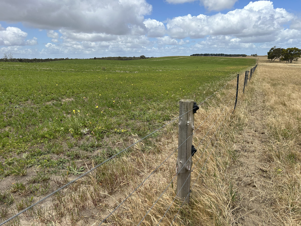 Lot 189 Roy Lawries Road, Lochaber SA 5271