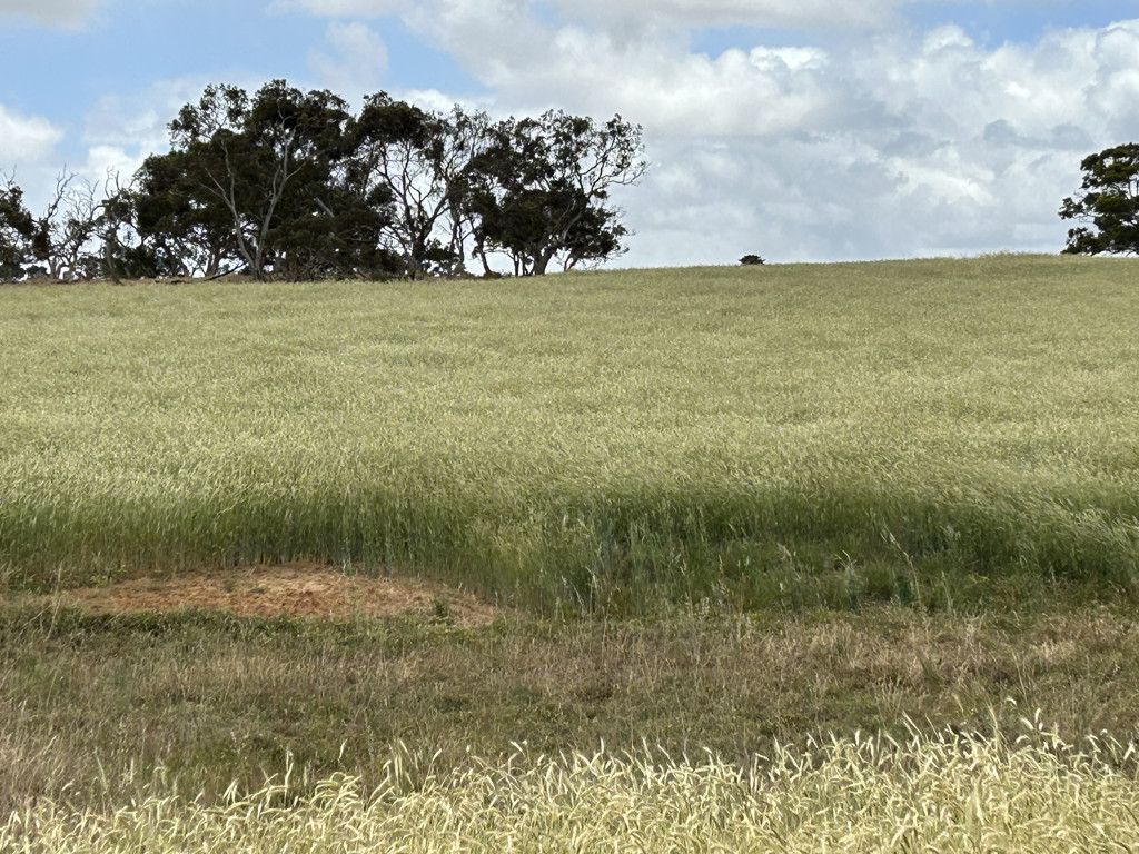 Lot 189 Roy Lawries Road, Lochaber SA 5271