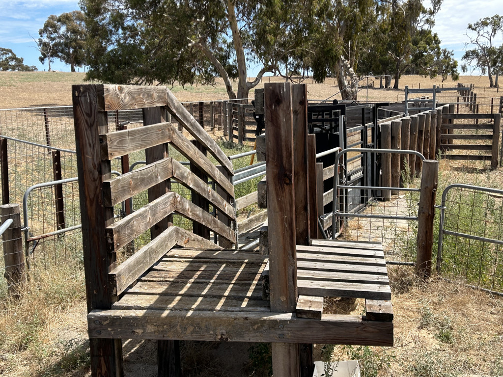 Lot 189 Roy Lawries Road, Lochaber SA 5271