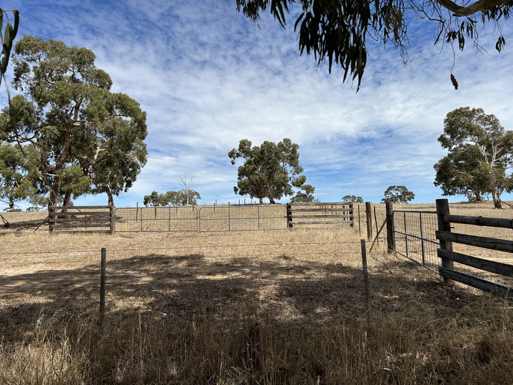 Lot 189 Roy Lawries Road, Lochaber SA 5271