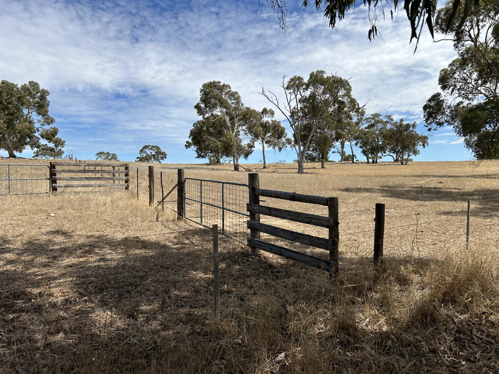 Lot 189 Roy Lawries Road, Lochaber SA 5271