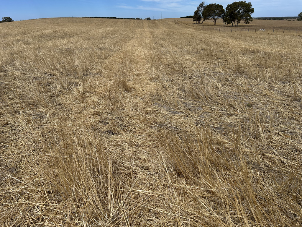 Lot 189 Roy Lawries Road, Lochaber SA 5271