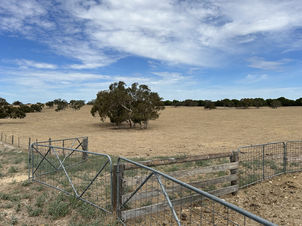 Lot 323 Roy Lawries Road, Lochaber SA 5271
