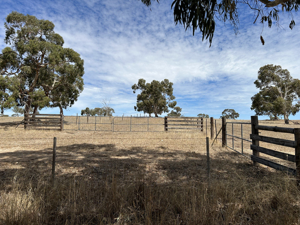 Lot 323 Roy Lawries Road, Lochaber SA 5271