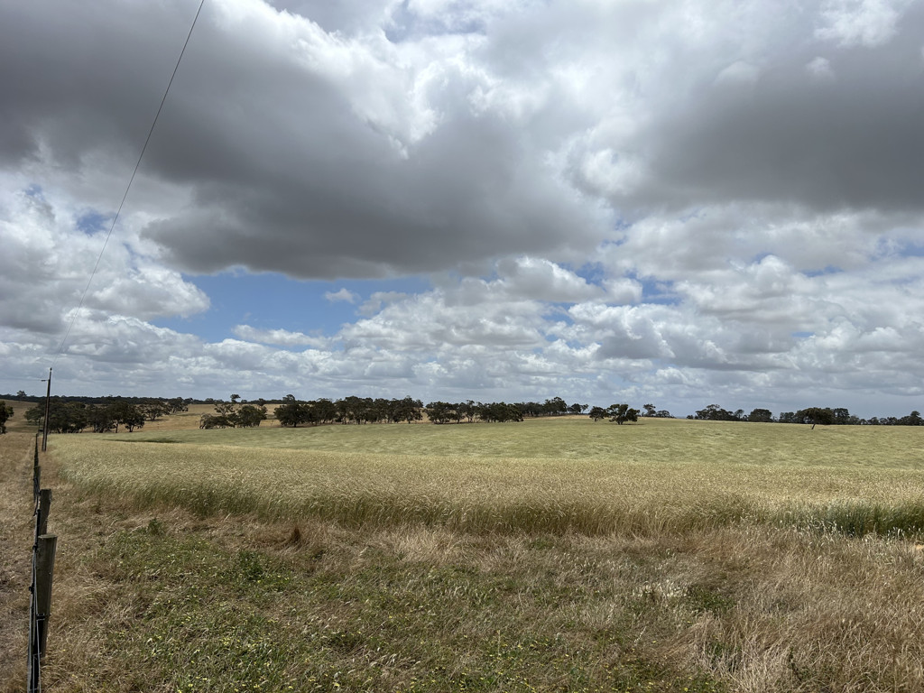 Lot 323 Roy Lawries Road, Lochaber SA 5271