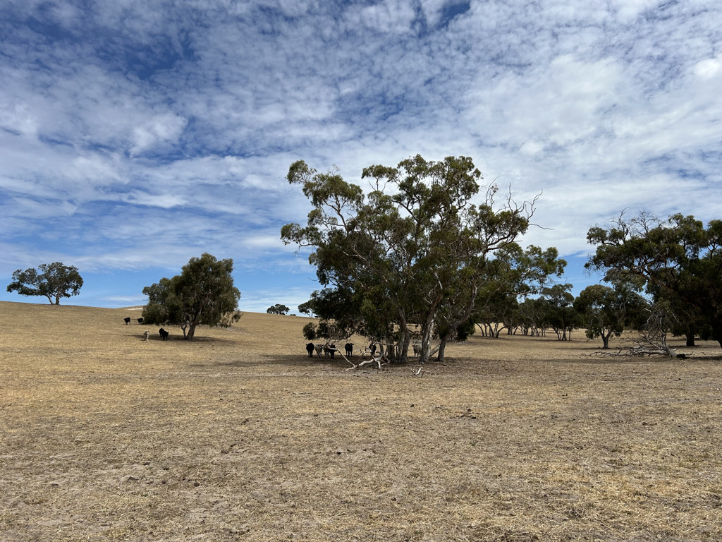 Lot 323 Roy Lawries Road, Lochaber SA 5271