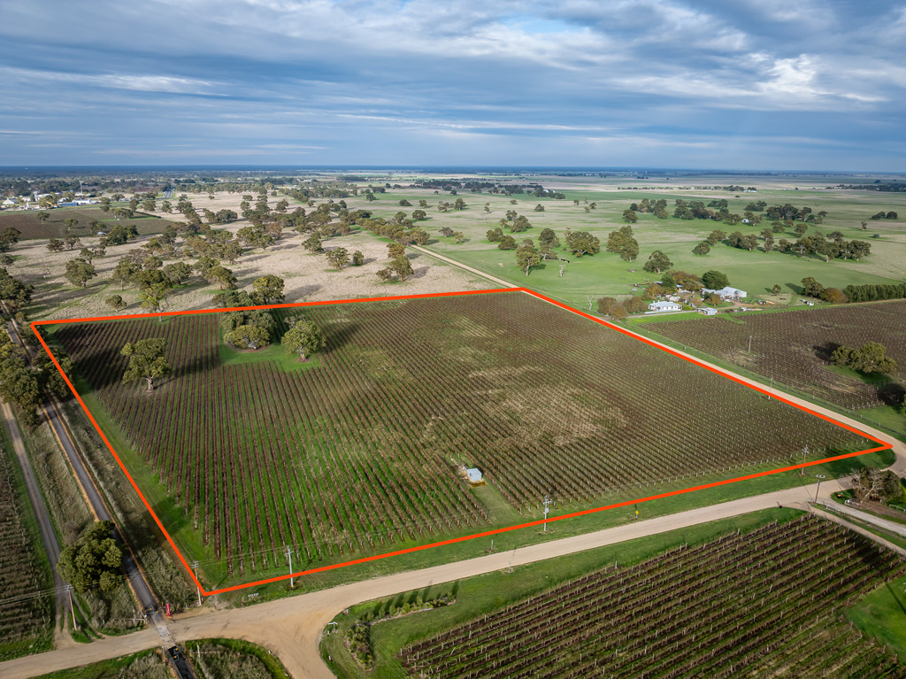 Lot 11 Ravenswood Lane (and others), Coonawarra SA 5263