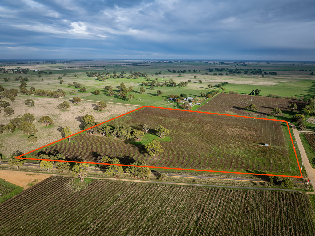 Lot 11 Ravenswood Lane (and others), Coonawarra SA 5263