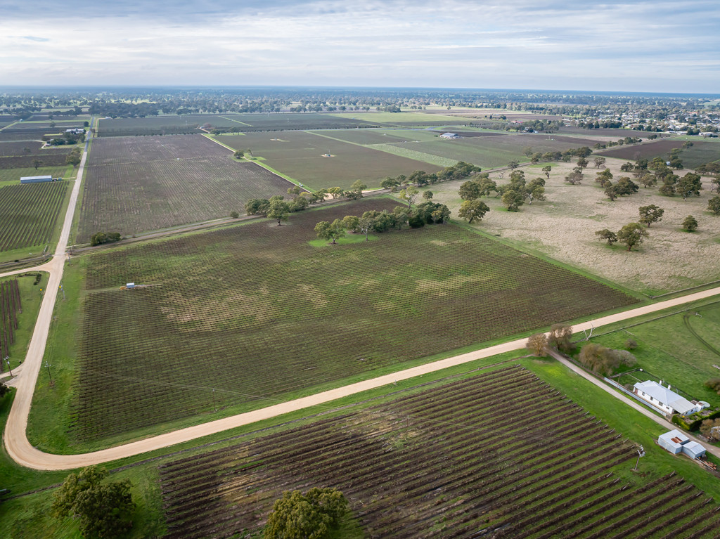 Lot 11 Ravenswood Lane (and others), Coonawarra SA 5263