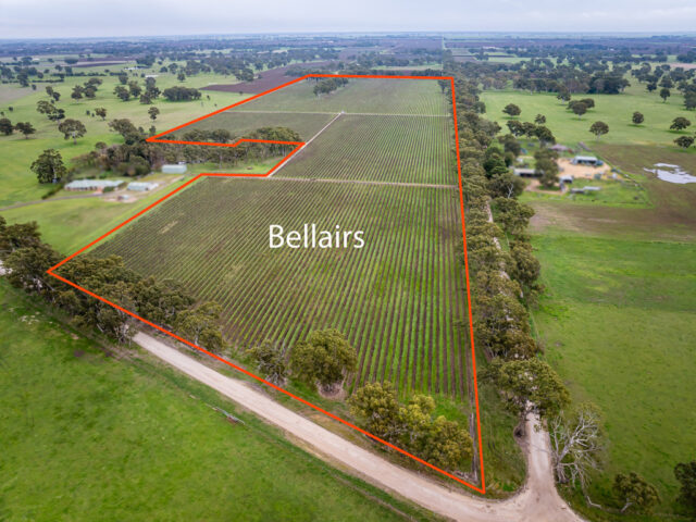 Lot  300 V&A Lane Penola, Coonawarra SA 5263