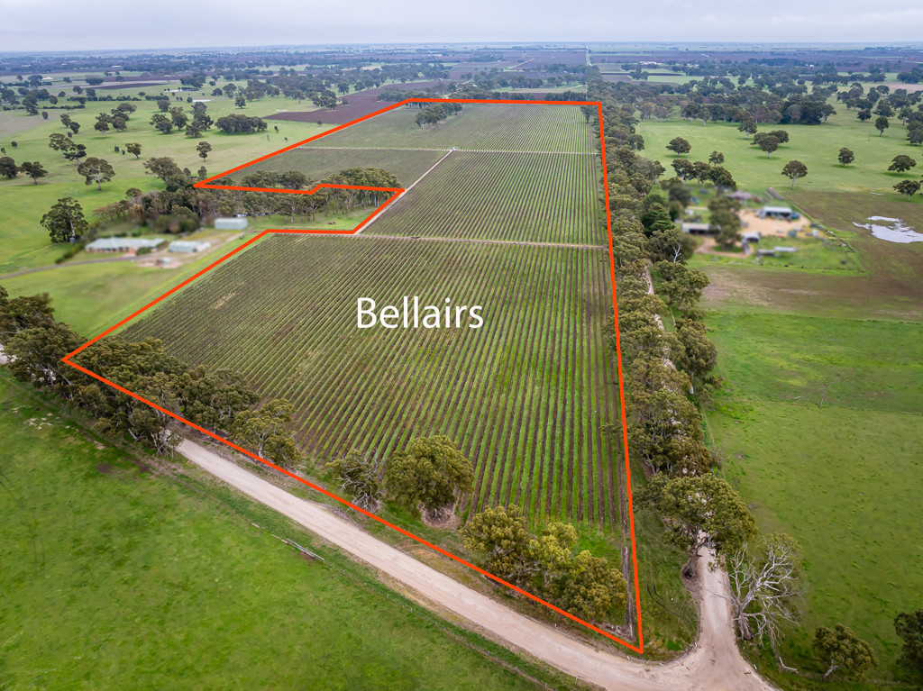 Lot  300 V&A Lane Penola, Coonawarra SA 5263