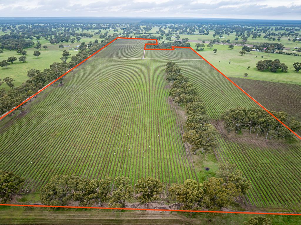 Lot  300 V&A Lane Penola, Coonawarra SA 5263