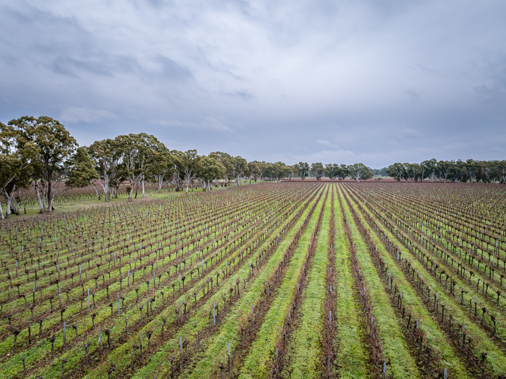 Lot  300 V&A Lane Penola, Coonawarra SA 5263