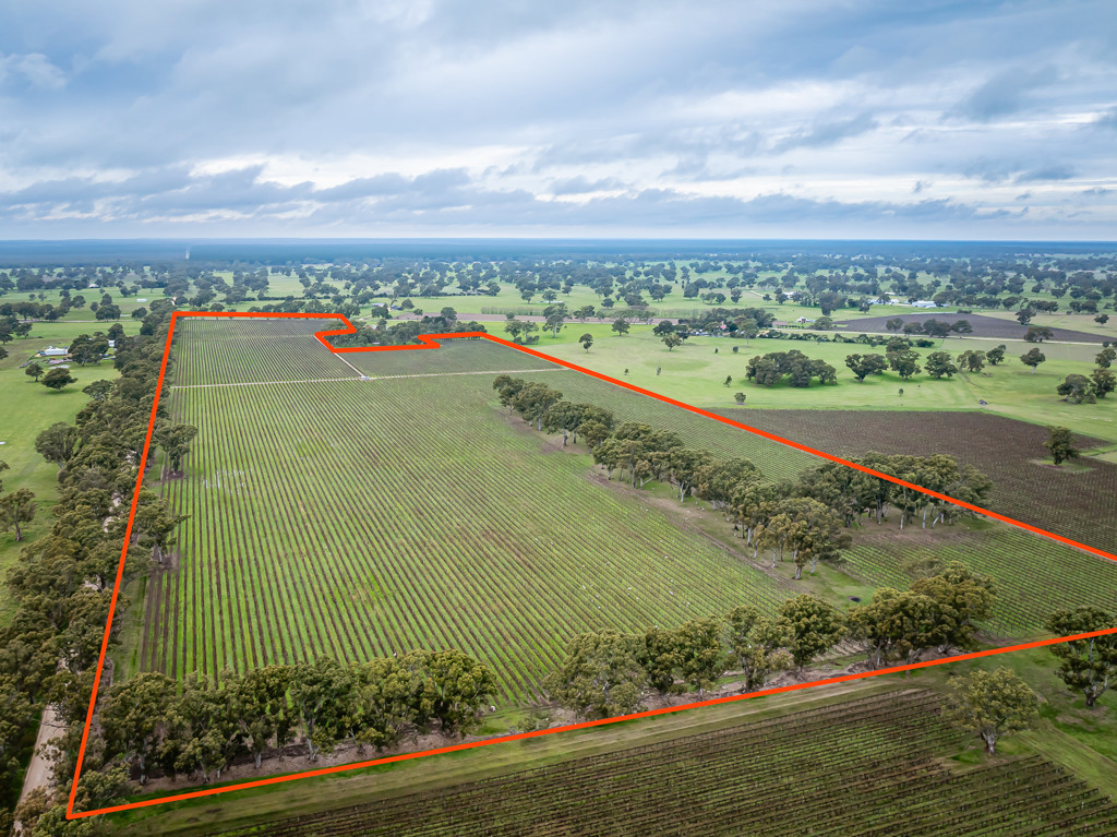Lot  300 V&A Lane Penola, Coonawarra SA 5263