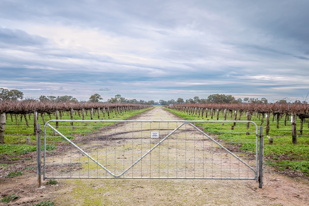 Lot  300 V&A Lane Penola, Coonawarra SA 5263