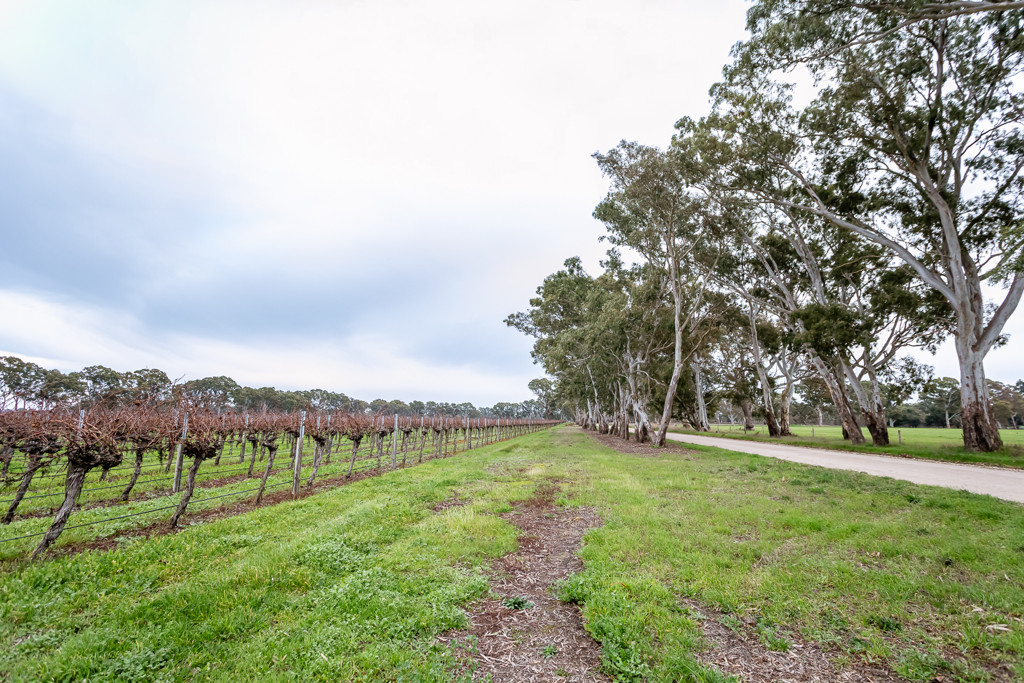 Lot  300 V&A Lane Penola, Coonawarra SA 5263