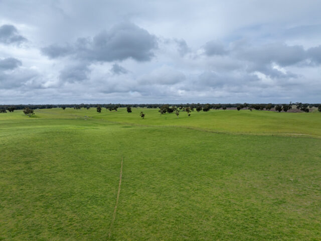 3373 Naracoorte Road, Western Flat SA 5268