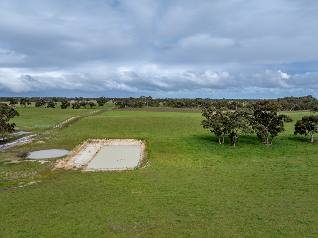 3373 Naracoorte Road, Western Flat SA 5268