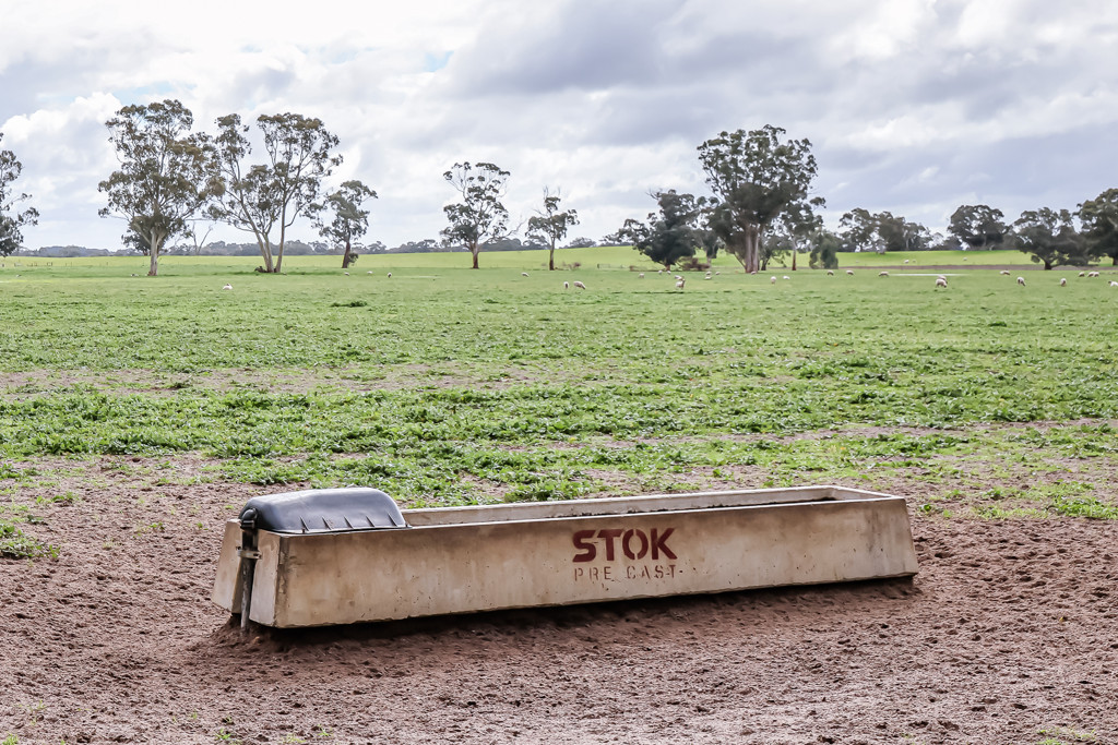 3373 Naracoorte Road, Western Flat SA 5268