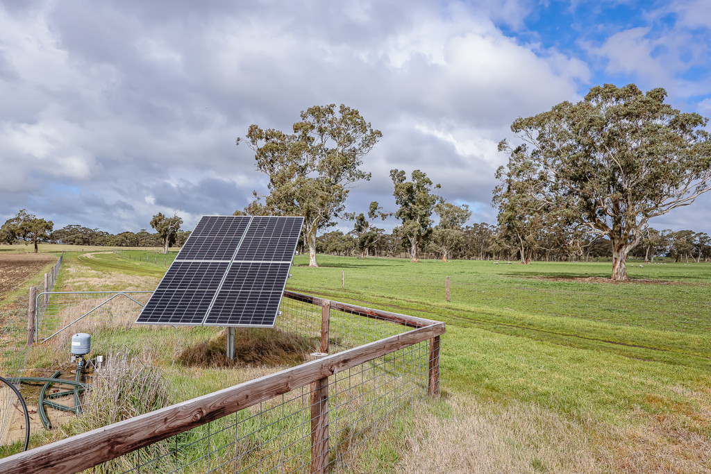3373 Naracoorte Road, Western Flat SA 5268