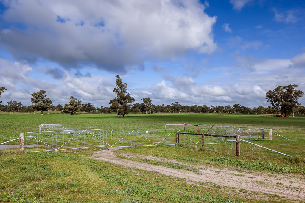 3373 Naracoorte Road, Western Flat SA 5268