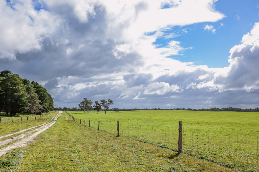 3373 Naracoorte Road, Western Flat SA 5268