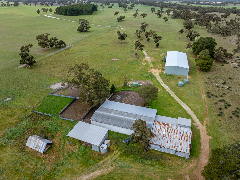 3373 Naracoorte Road, Western Flat SA 5268