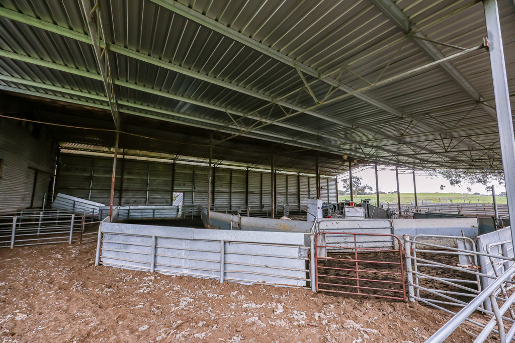 3373 Naracoorte Road, Western Flat SA 5268