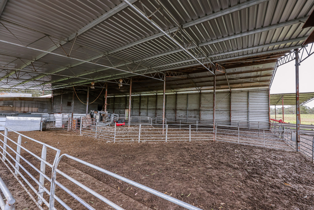 3373 Naracoorte Road, Western Flat SA 5268