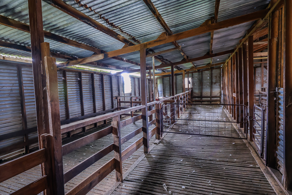 3373 Naracoorte Road, Western Flat SA 5268