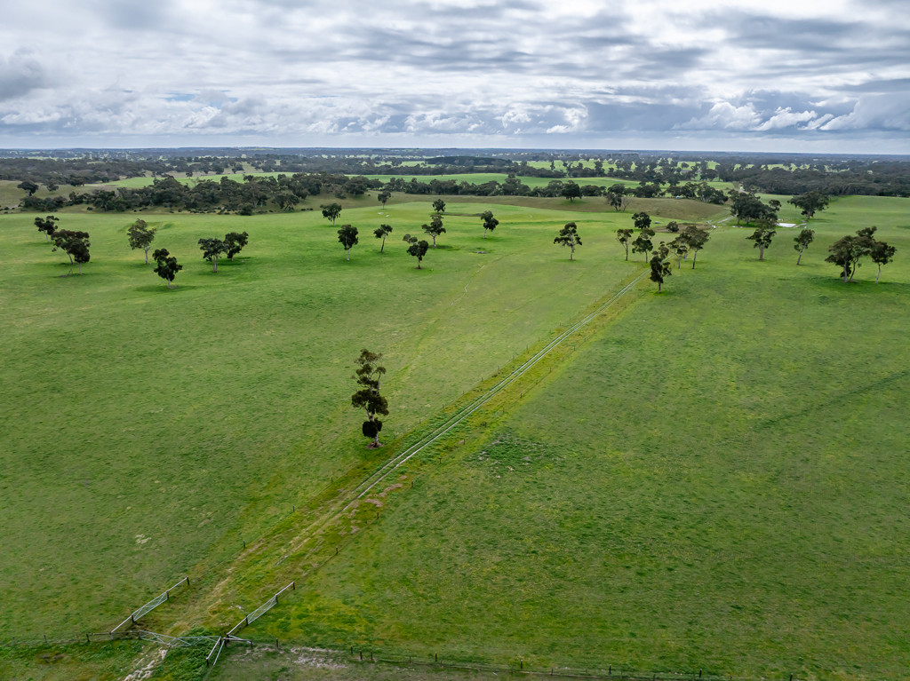 3373 Naracoorte Road, Western Flat SA 5268