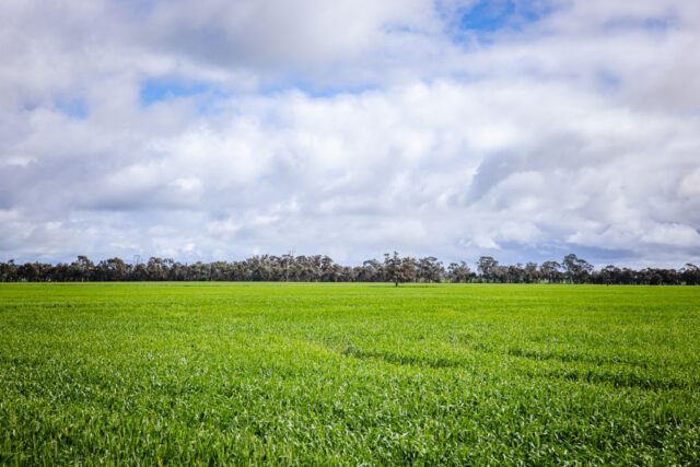 210 Cumings Road, Peronne VIC 3413